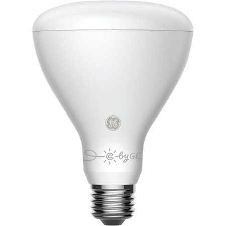 PERFECTTWINKLE Full Color Smart Bulb - White & Gray PE2179007